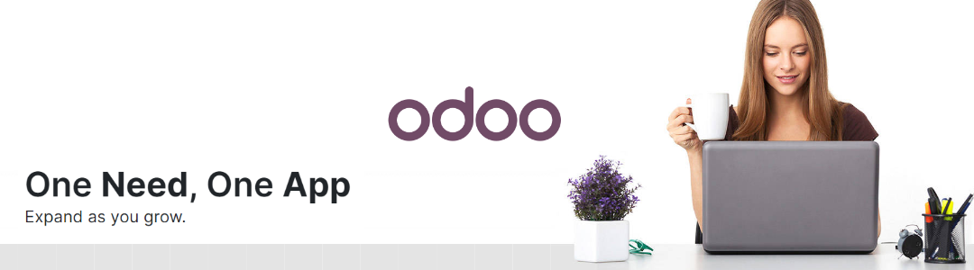 Odoo ERP System